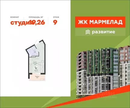 Студия Воронежская область, Воронеж ул. Туполева, 5Н (19.26 м)