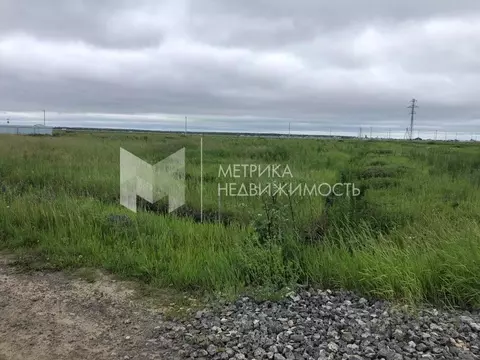 Участок в Тюменская область, Тюмень ул. Ягодная (5.0 сот.)