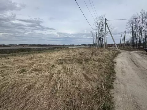 Участок в Калининградская область, Гурьевский муниципальный округ, ...