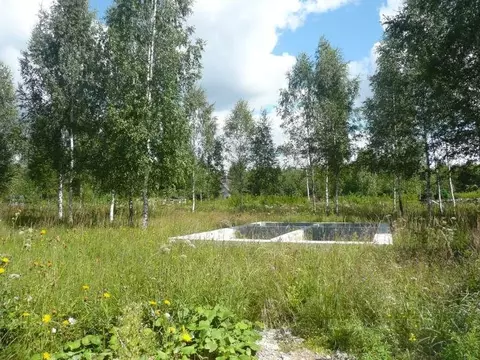 Участок в Тверская область, Калининский муниципальный округ, Эдельвейс ...