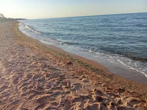 Участок в Краснодарский край, Темрюкский район, Голубицкое с/пос, ...