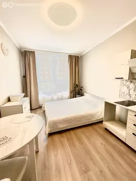 Квартира-студия: посёлок Шушары, улица Нины Петровой, 8к1 (22.3 м)