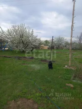 Участок в Волгоградская область, Городищенский район, Ерзовское ...