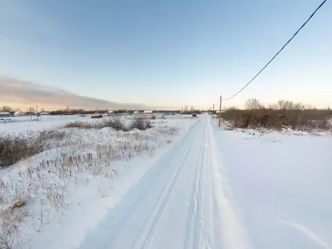 Участок в Тюменская область, Тюмень Большое Царево-1 СНТ,  (9.9 сот.)