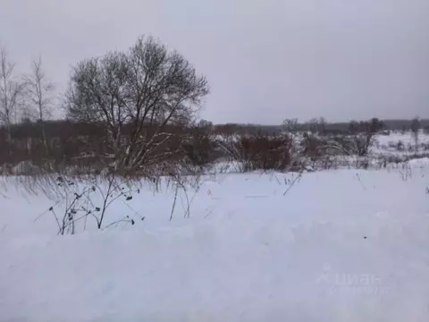 Участок в Московская область, Можайский муниципальный округ, д. ...