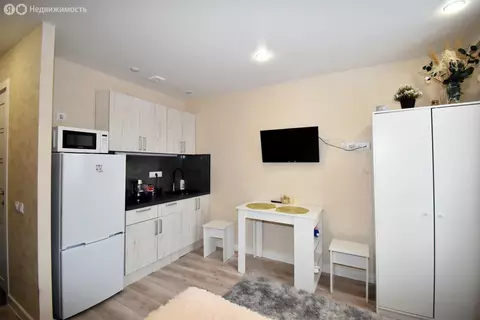 Квартира-студия: Нижний Новгород, Берёзовская улица, 106 (16.2 м)