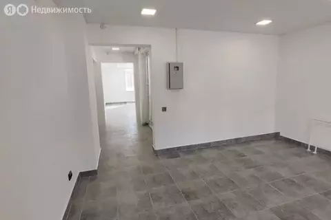 Помещение свободного назначения (24.3 м)