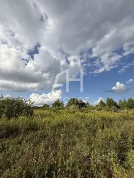 Участок в Владимирская область, Александровский муниципальный округ, ...
