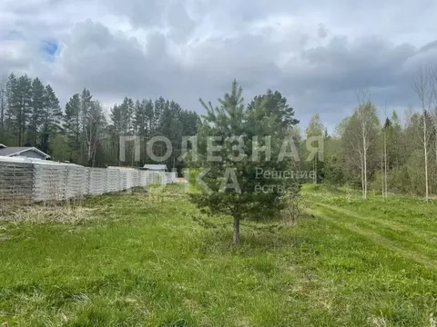 Участок в Новгородская область, Боровичский район, Сушанское с/пос, ...