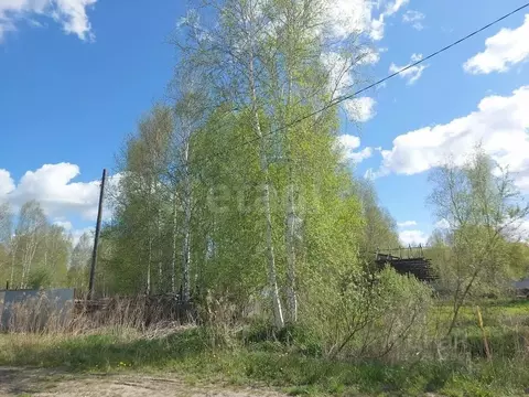 Участок в Тюменская область, Нижнетавдинский муниципальный округ, ...