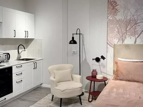 Студия Санкт-Петербург пос. Парголово, дор. Михайловская, 6 (29.0 м)