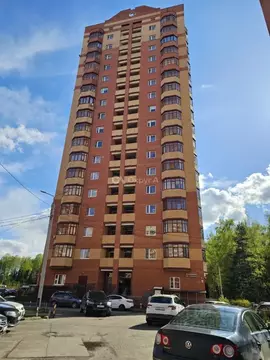 1-к кв. Московская область, Богородский городской округ, д. Щемилово ...