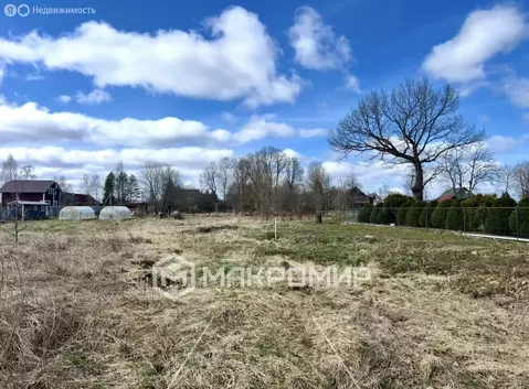 Участок в Любанское городское поселение, деревня Вериговщина (50 м)