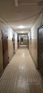 1-к кв. Московская область, Воскресенск Лопатинский мкр, ул. ...