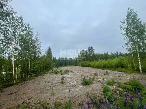 Участок в Карелия, Прионежский район, Деревянское с/пос, Педасельга ...