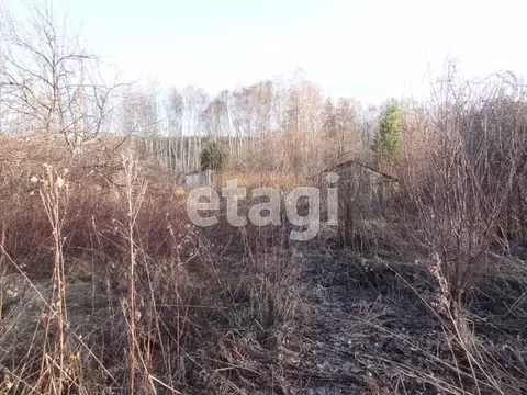 Дом в Челябинская область, Кыштым Дальняя Дача СНТ,  (26 м)