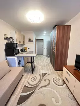 Студия Алтайский край, Барнаул ул. Антона Петрова, 197 (24.1 м)