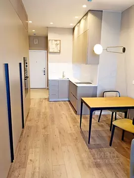 Студия Москва проезд Серебрякова, 11к2 (30.0 м)