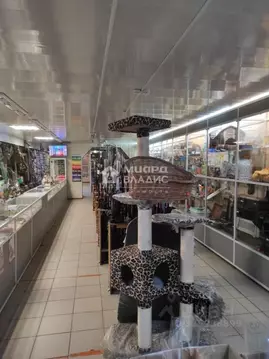 Помещение свободного назначения в Омская область, Омск бул. Победы, 10 ...