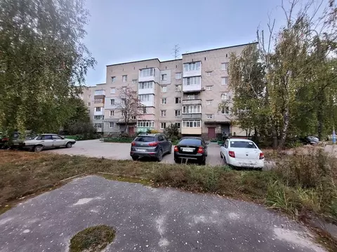 1-к кв. Нижегородская область, Бор ул. Тургенева, 105 (32.0 м)