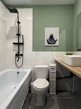 Студия Воронежская область, Воронеж ул. Переверткина, 43 (17.6 м)