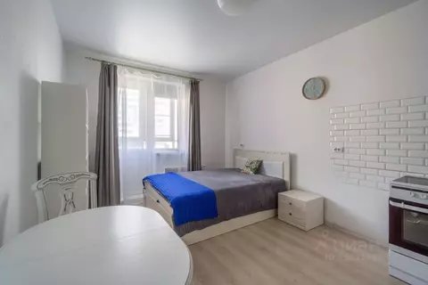 Студия Санкт-Петербург Парашютная ул., 42к2 (24.3 м)