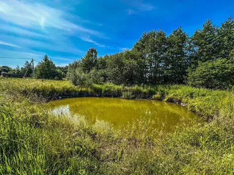 Участок в Калининградская область, Зеленоградский муниципальный округ, ...