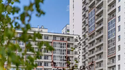 Студия Тюменская область, Тюменский муниципальный округ, д. Патрушева ...