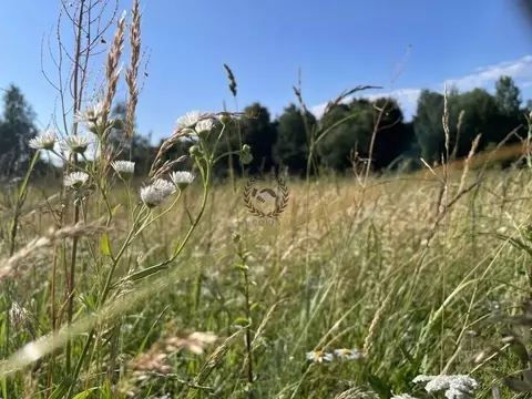 Участок в Калужская область, Калуга Трамплинная ул., 52 (15.0 сот.)