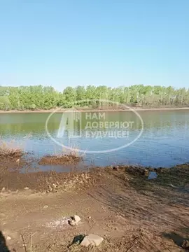 Участок в Пермский край, Чайковский № 14 СНТ, 120 (12.62 сот.)