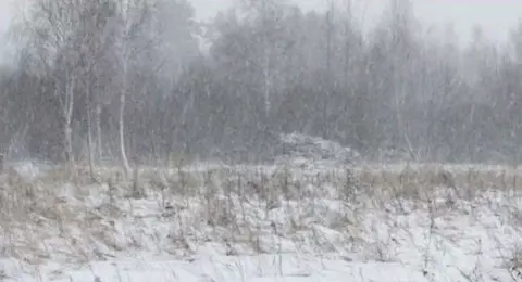 Участок в Московская область, Коломна городской округ, с. Нижнее ...
