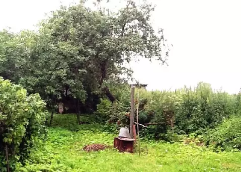 Участок в Тверская область, Калязинский район, д. Воронцово  (40.0 ...