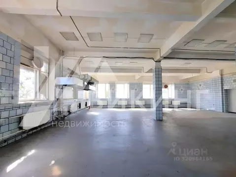 Помещение свободного назначения в Санкт-Петербург Цветочная ул., 6Ю ...