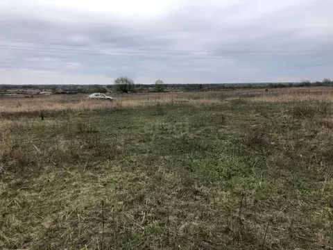 Участок в Брянская область, Брянский район, Новодарковичское с/пос, ...