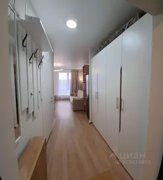 Студия Московская область, Ленинский городской округ, Мисайлово пгт, ...