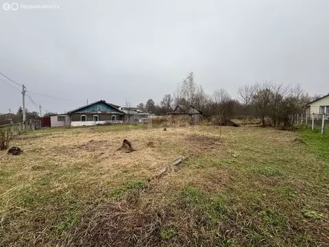 Дом в Васильевское, Центральная улица (52.9 м)