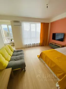 Студия Краснодарский край, Сочи городской округ, Дагомыс пгт ул. ...