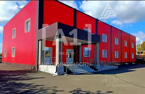 Помещение свободного назначения в Челябинская область, с. Аргаяш ул. 8 ...