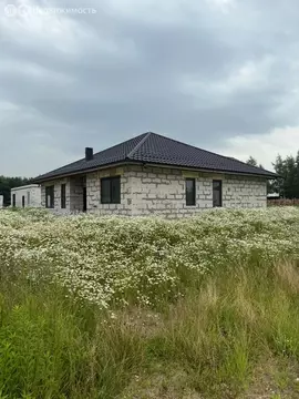 Дом в Заозерье, Красивый переулок, 8 (115 м)