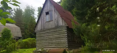 Участок в Московская область, Ступино городской округ, пос. Новоселки ...