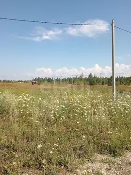 Участок в Липецкая область, Добровский муниципальный округ, с. ...