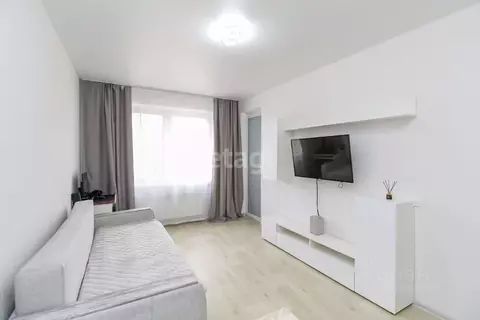 Студия Тюменская область, Тюменский муниципальный округ, с. Ембаево ...