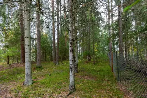 Участок в Ленинградская область, Выборгский район, Первомайское с/пос, ...