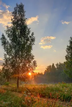 Продается участок в д. Аниково