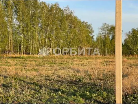 Участок в Тюменская область, Тюменский район, с. Борки  (11.27 сот.)