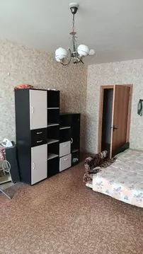 Комната Москва ул. Брусилова, 35к1