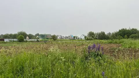 Участок в Московская область, Шаховская муниципальный округ, д. ...