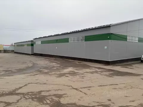 Склад в Московская область, Домодедово Северное Домодедово промзона, ...