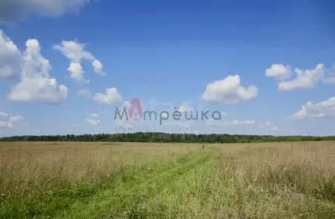 Участок в Белгородская область, Белгородский район, Никольское с/пос, ...