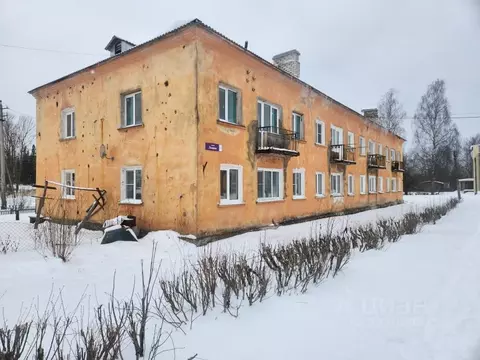 2-к кв. Псковская область, Плюсский муниципальный округ, Заплюсье рп ...